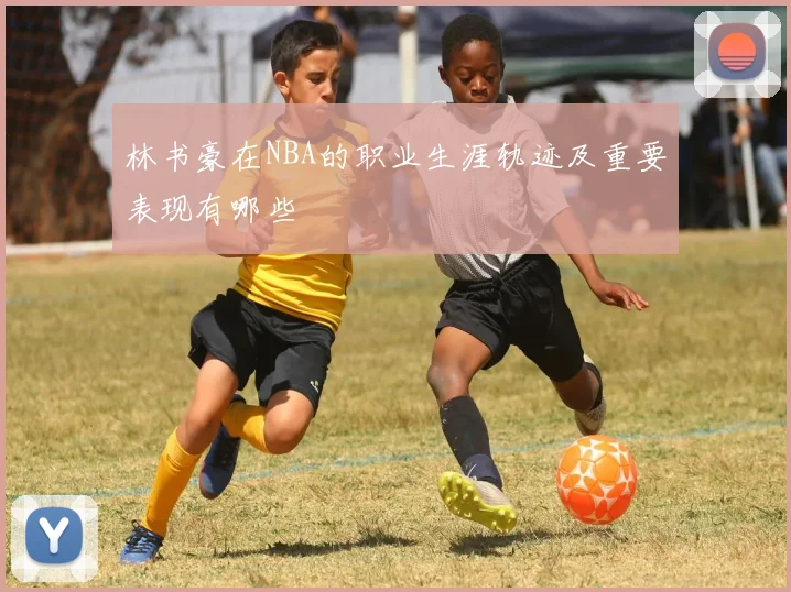 林书豪在NBA的职业生涯轨迹及重要表现有哪些
