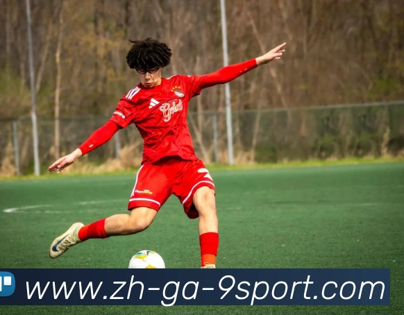 九游体育官方网站发展历程